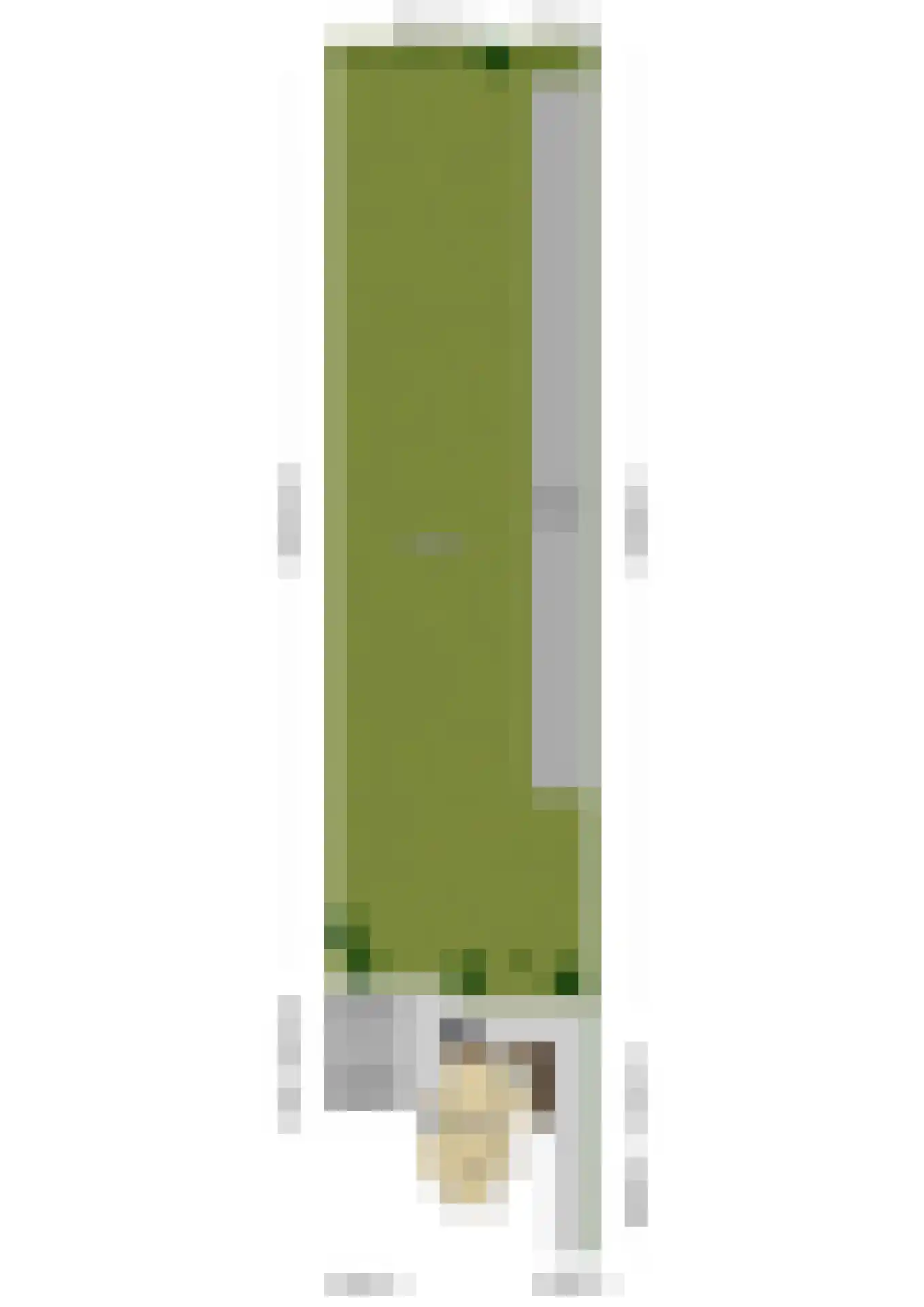Verlengde Emmastraat 35 Andelst thumbnail 38