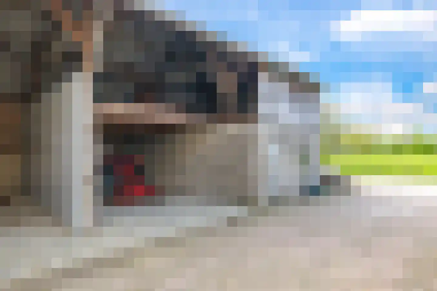 Verlengde Emmastraat 35 Andelst thumbnail 42