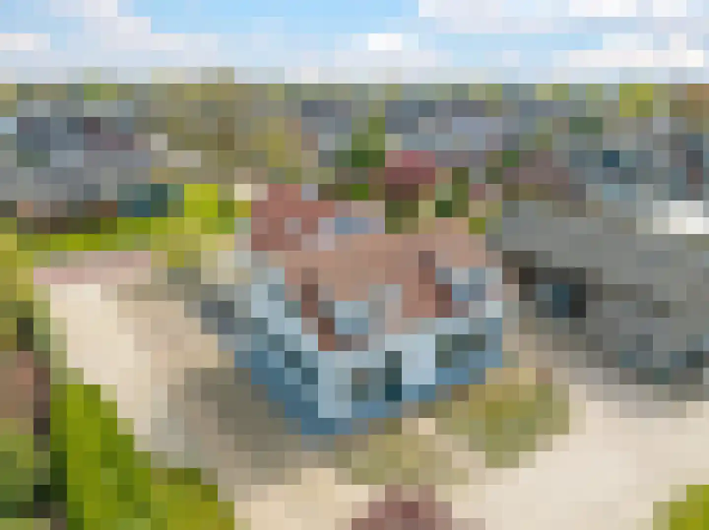 Verlengde Emmastraat 35 Andelst thumbnail 51