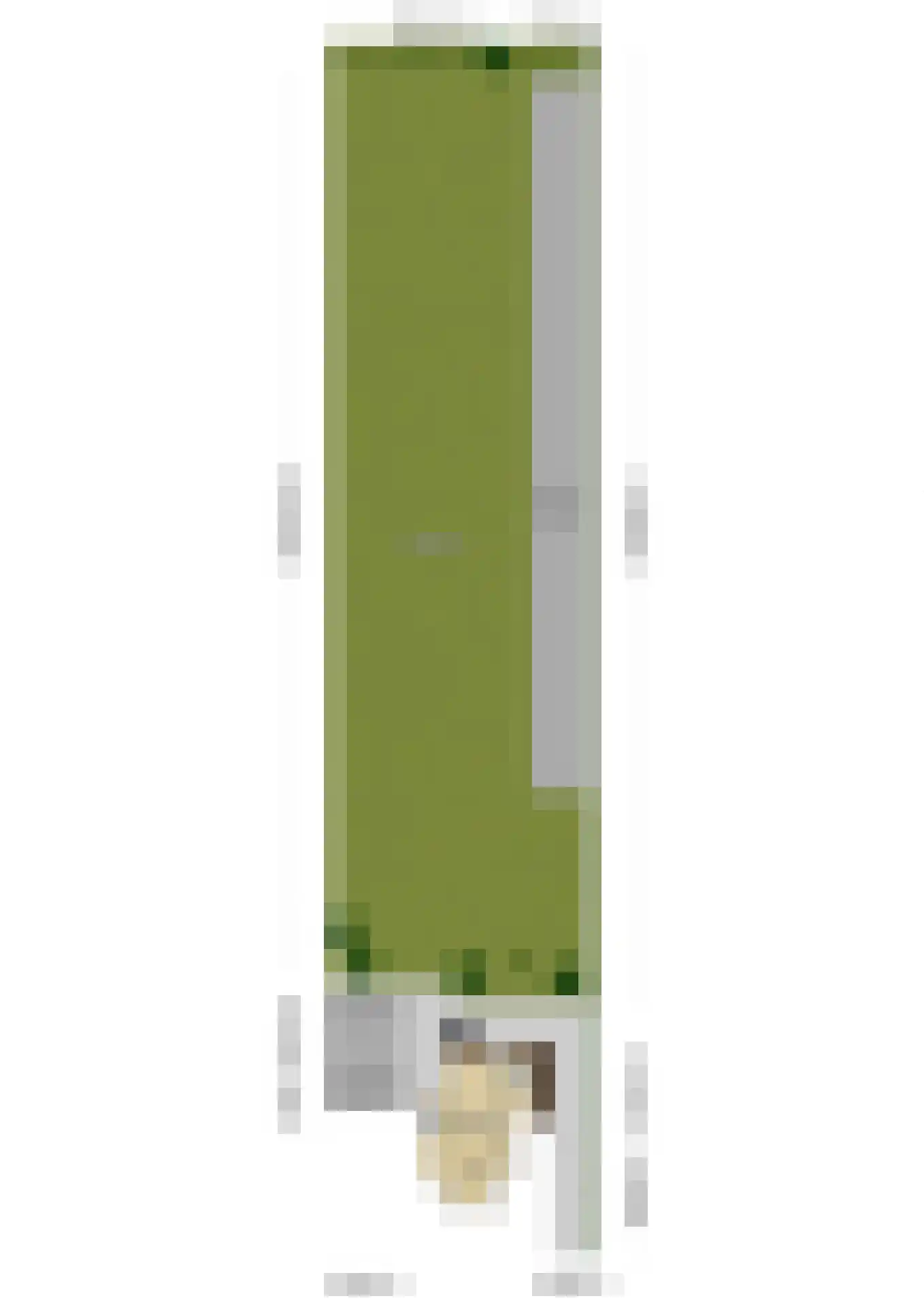Verlengde Emmastraat 35 Andelst thumbnail 7