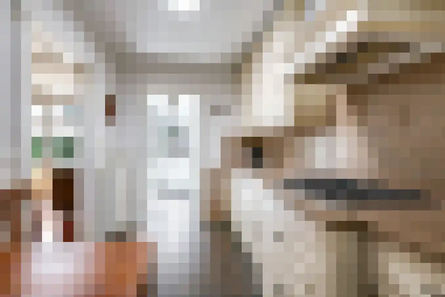 Verlengde Emmastraat 37 Andelst thumbnail 23