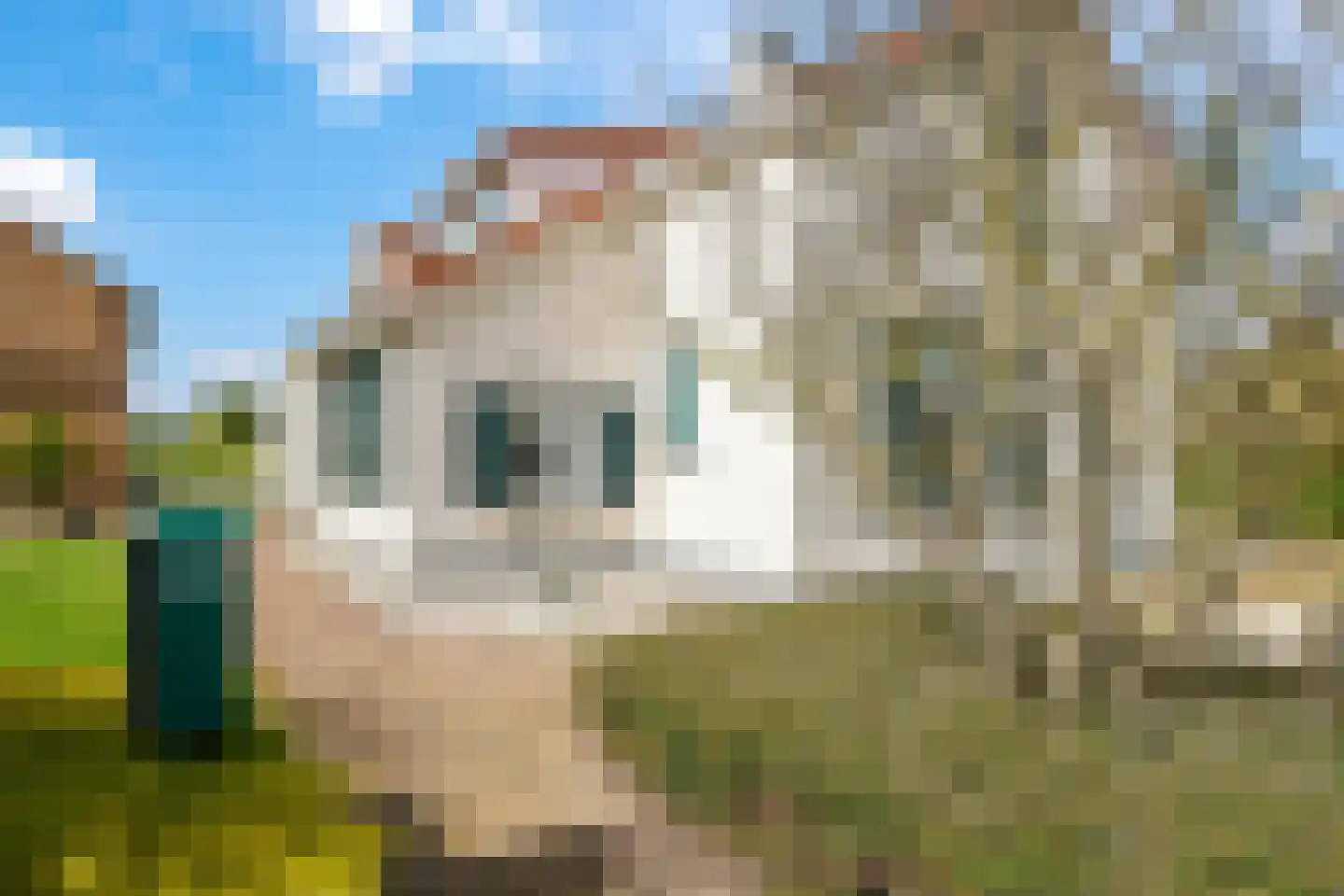 Verlengde Emmastraat 37 Andelst thumbnail 41