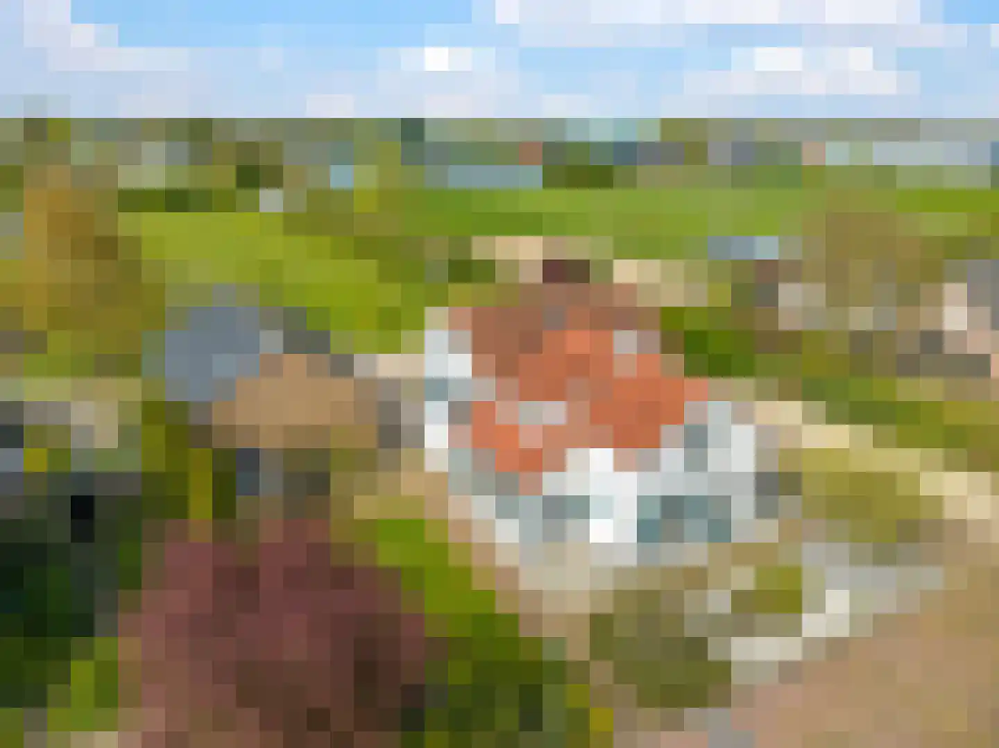 Verlengde Emmastraat 37 Andelst thumbnail 49