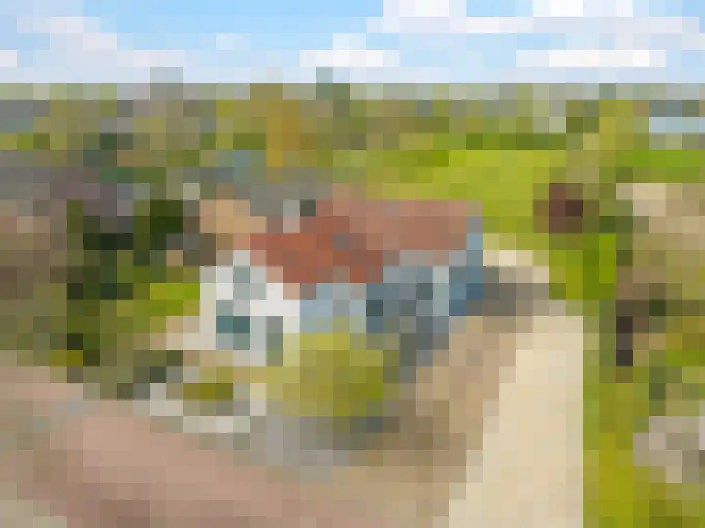 Verlengde Emmastraat 37 Andelst thumbnail 56