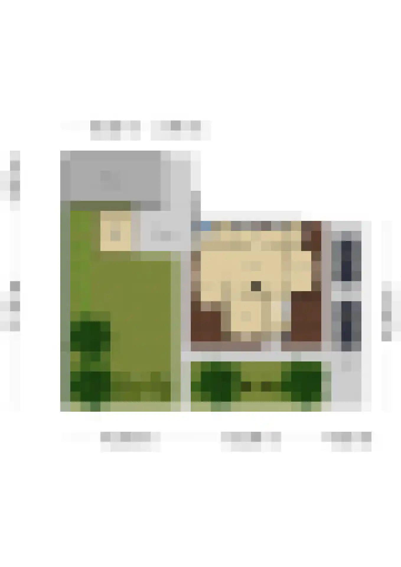 Verlengde Emmastraat 37 Andelst thumbnail 6