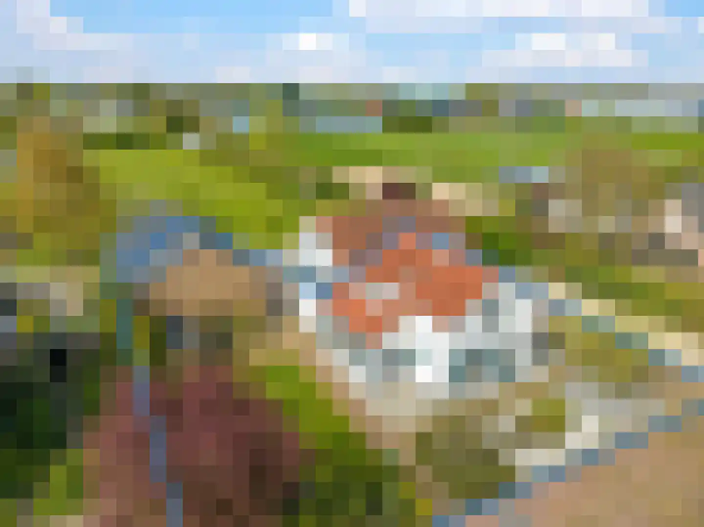 Verlengde Emmastraat 37 Andelst thumbnail 7