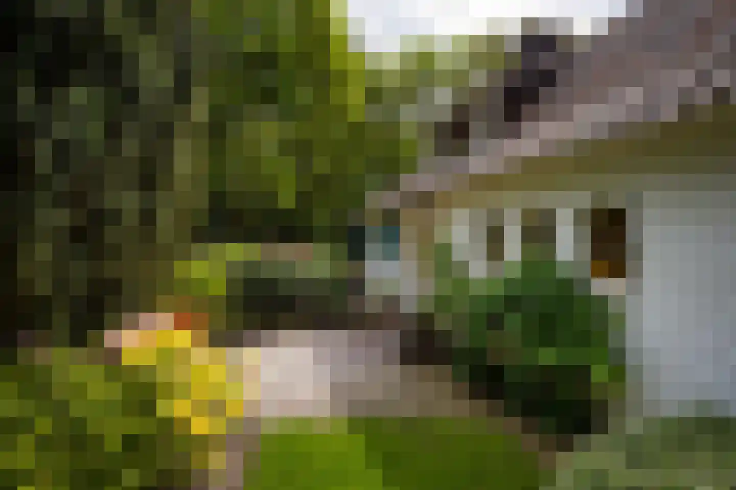 Verlengde Engweg 9 Laren thumbnail 7