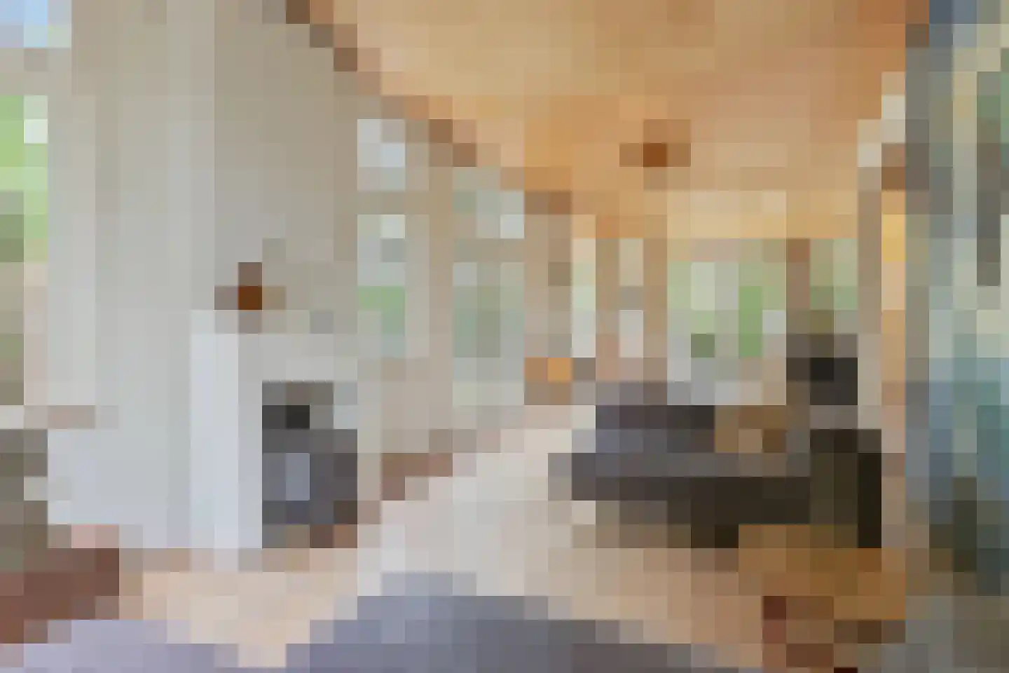Verlengde Fortlaan 11 Naarden thumbnail 10
