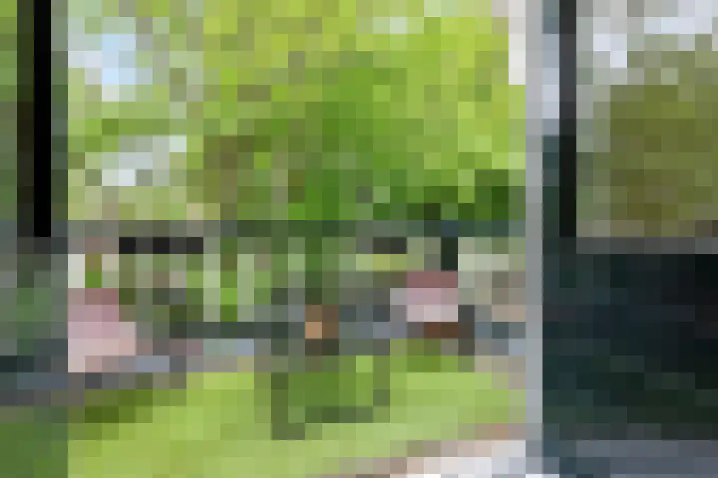 Verlengde Fortlaan 11 Naarden thumbnail 24
