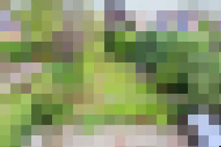 Verlengde Fortlaan 21 A Naarden thumbnail 16