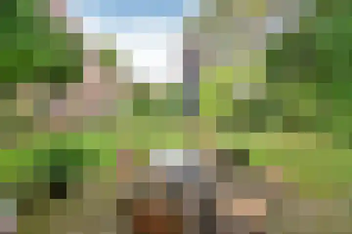 Verlengde Fortlaan 21 A Naarden thumbnail 19