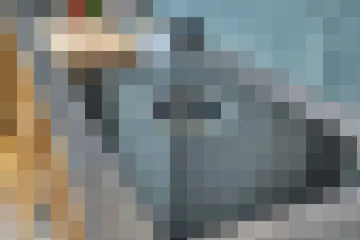 Verlengde Fortlaan 3 Naarden thumbnail 20