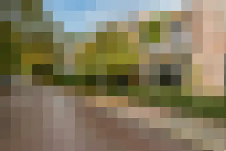 Verlengde Fortlaan 3 Naarden foto 3