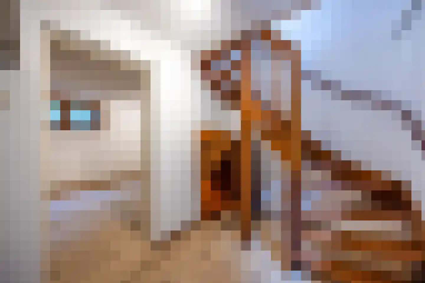 Verlengde Fortlaan 39 Naarden thumbnail 40