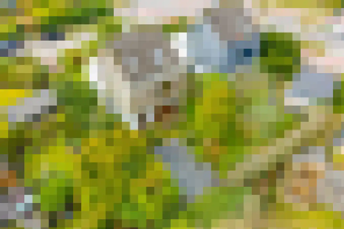 Verlengde Fortlaan 39 Naarden thumbnail 49