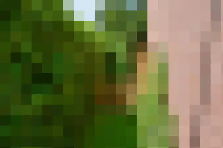 Verlengde Fortlaan 60 Naarden thumbnail 27