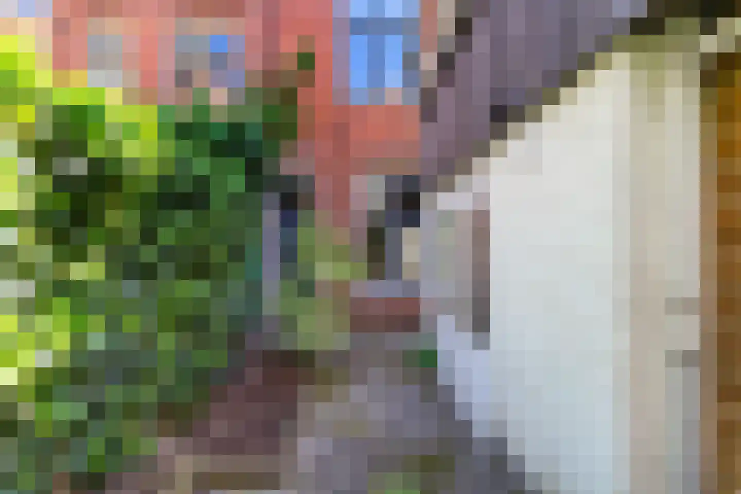 Verlengde Frederikstraat 22 Groningen thumbnail 16