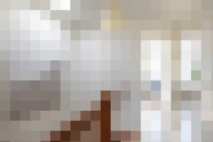 Verlengde Grachtstraat 28 Groningen thumbnail 24