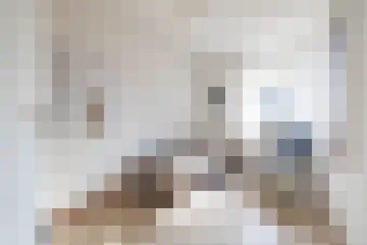 Verlengde Grachtstraat 28 Groningen thumbnail 26