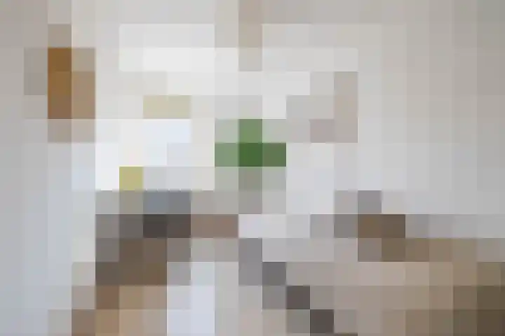 Verlengde Grachtstraat 28 Groningen thumbnail 28