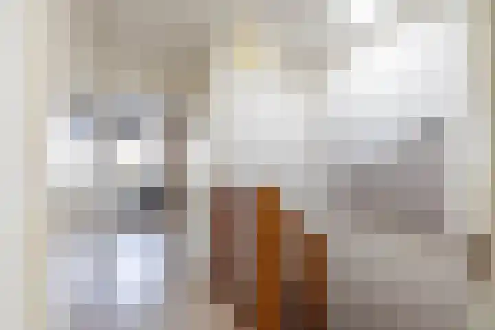 Verlengde Grachtstraat 28 Groningen thumbnail 29