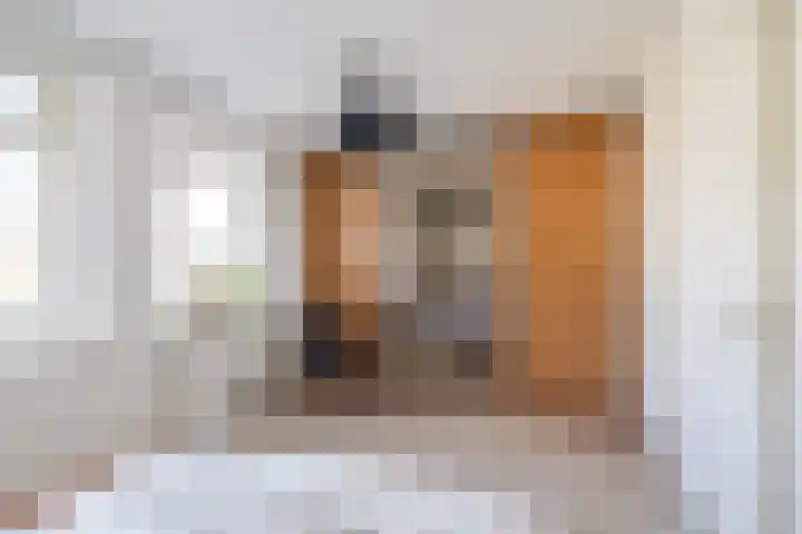 Verlengde Grachtstraat 28 Groningen thumbnail 31