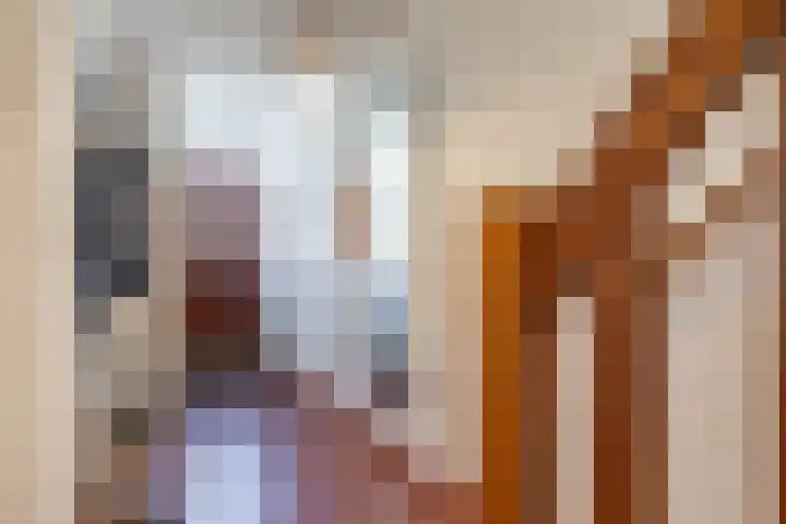 Verlengde Grachtstraat 28 Groningen thumbnail 6