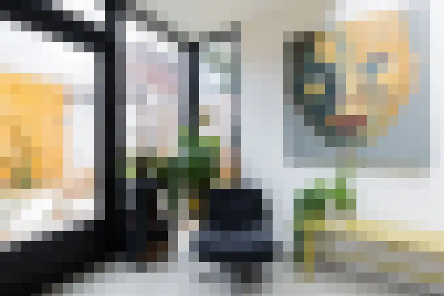 Verlengde Grachtstraat 31 Groningen thumbnail 13