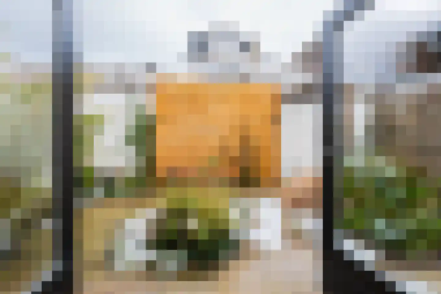 Verlengde Grachtstraat 31 Groningen thumbnail 14