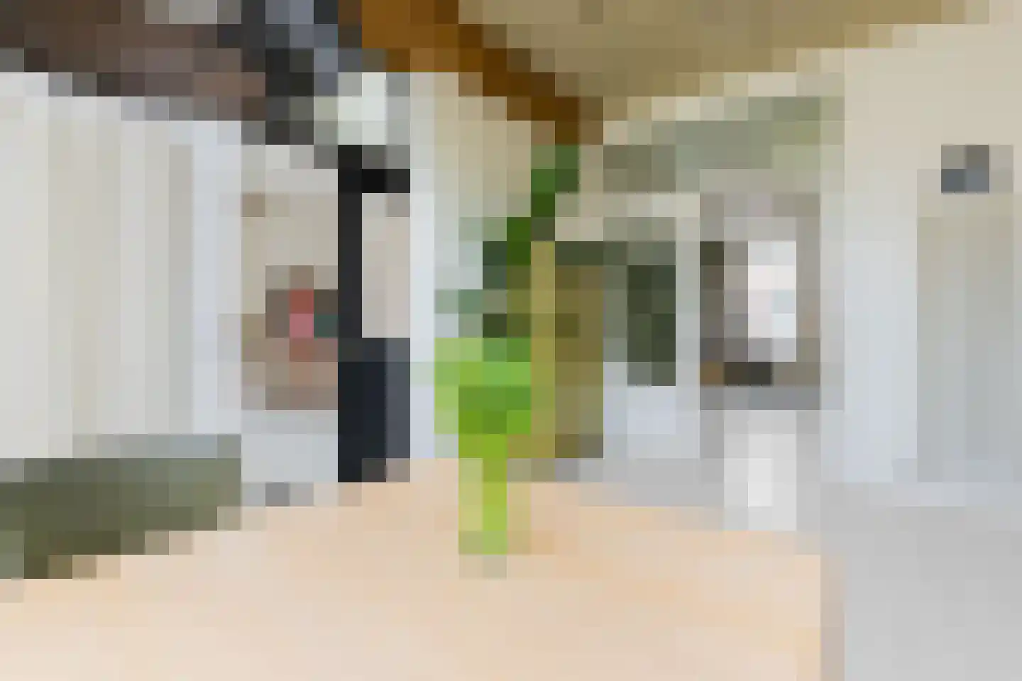 Verlengde Grachtstraat 31 Groningen thumbnail 15