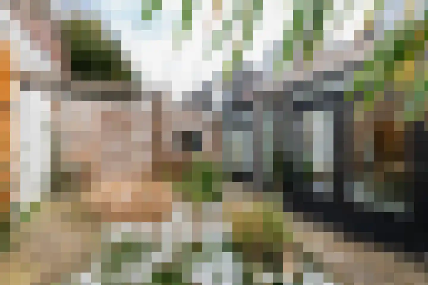 Verlengde Grachtstraat 31 Groningen thumbnail 37