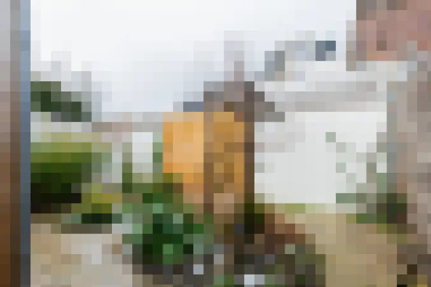 Verlengde Grachtstraat 31 Groningen thumbnail 39