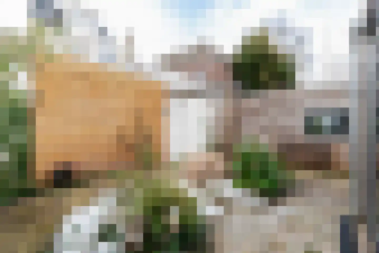Verlengde Grachtstraat 31 Groningen thumbnail 40