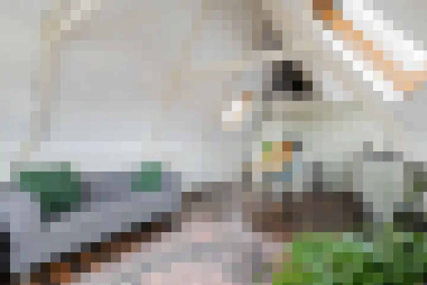 Verlengde Grachtstraat 31 Groningen thumbnail 55