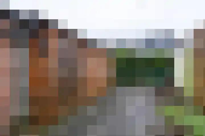 Verlengde Grachtstraat 41 Groningen thumbnail 27