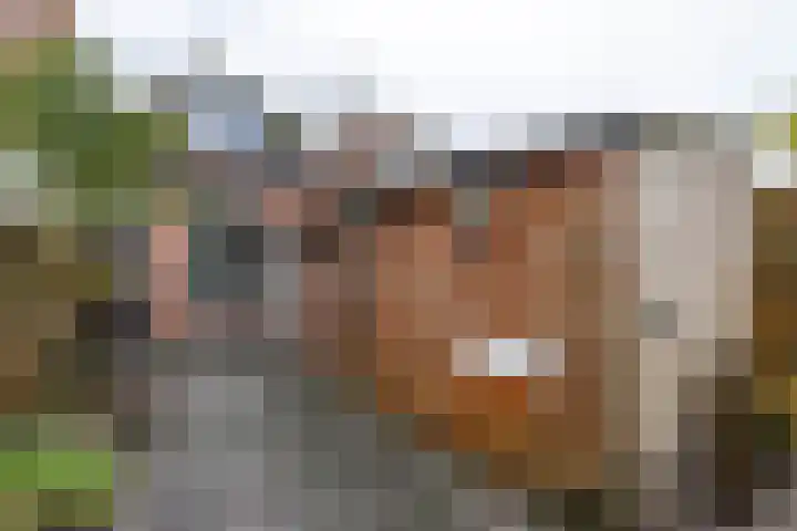 Verlengde Grachtstraat 41 Groningen thumbnail 28
