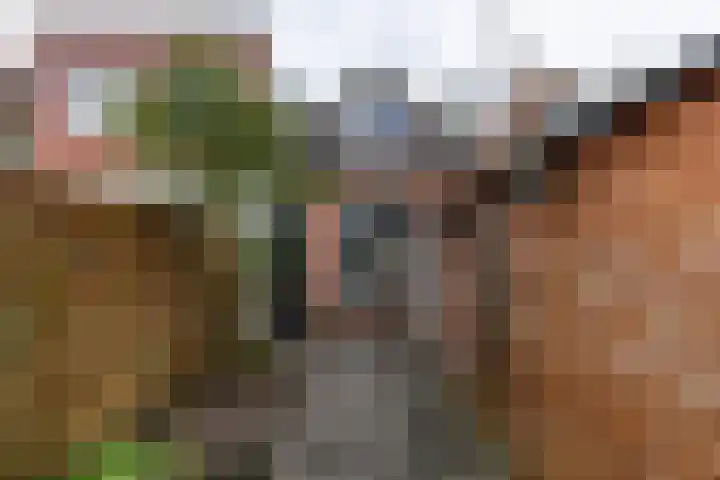 Verlengde Grachtstraat 41 Groningen thumbnail 29
