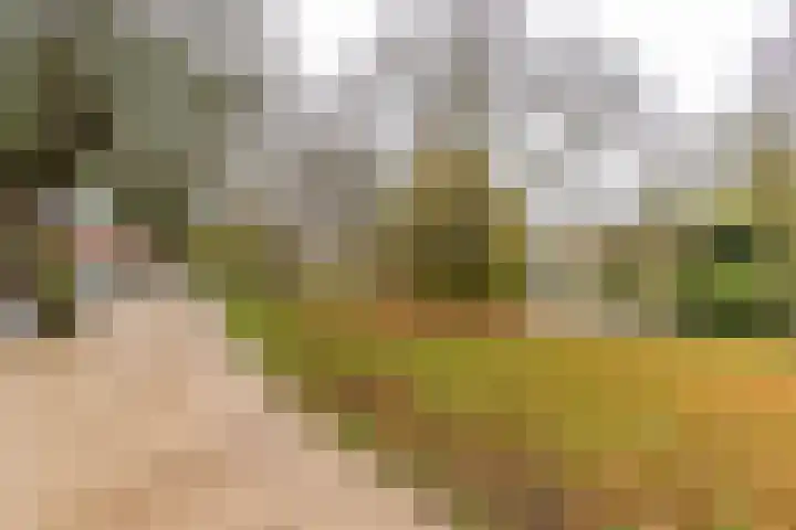Verlengde Grachtstraat 41 Groningen thumbnail 30
