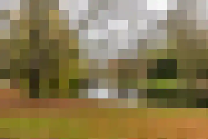 Verlengde Grachtstraat 41 Groningen thumbnail 31