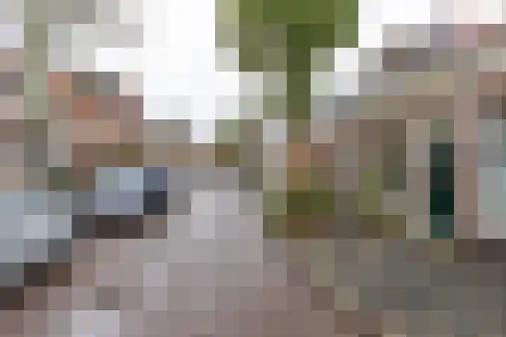 Verlengde Grachtstraat 41 Groningen thumbnail 32