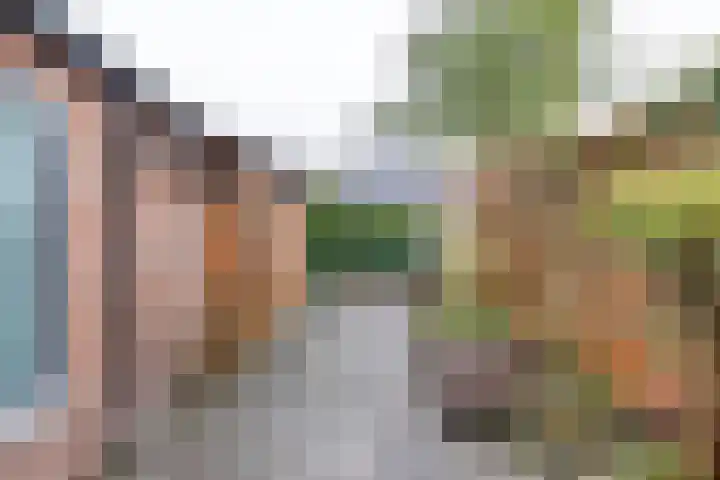 Verlengde Grachtstraat 41 Groningen thumbnail 4