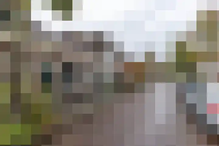 Verlengde Grachtstraat 41 Groningen thumbnail 5