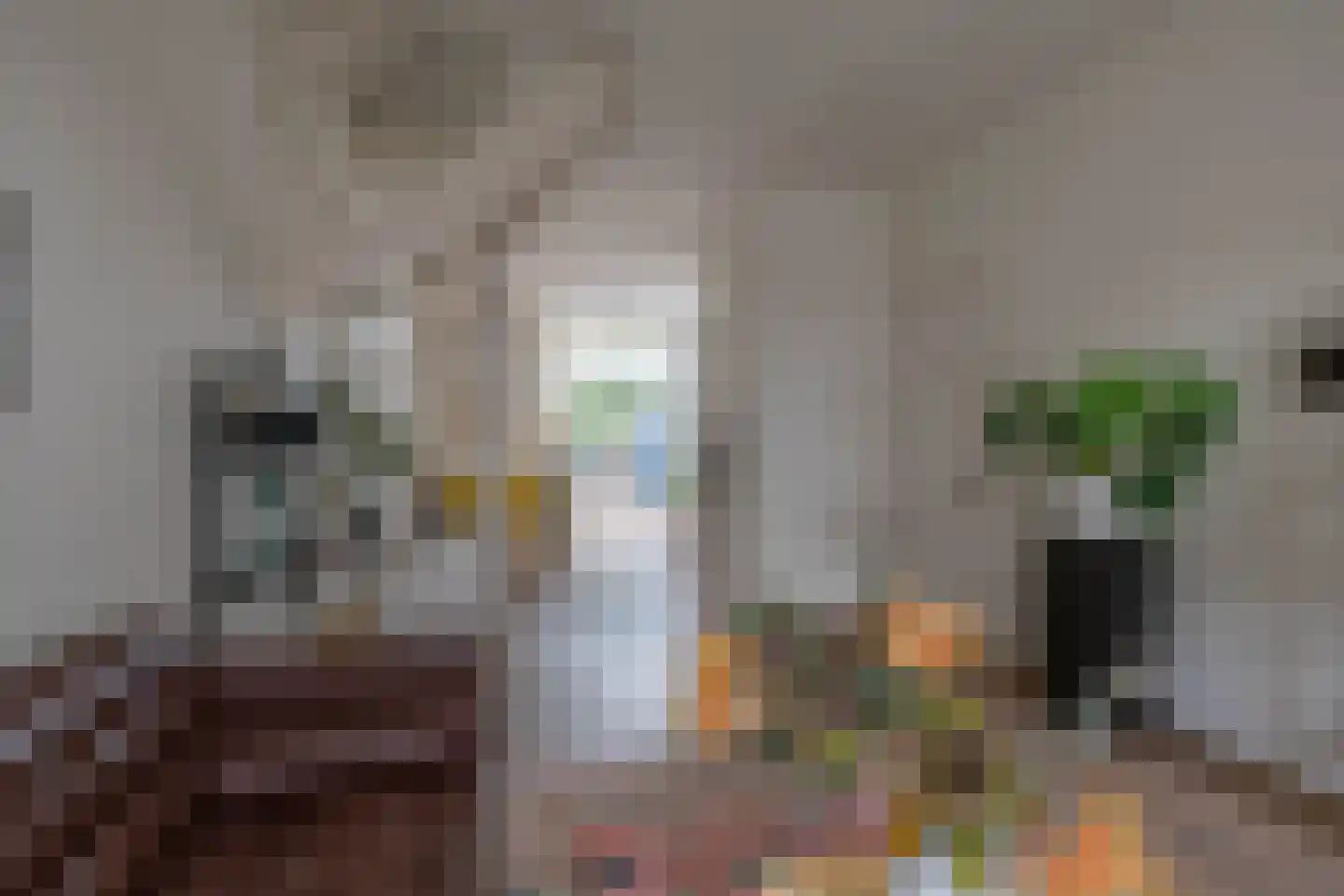 Verlengde Grachtstraat 45 Groningen thumbnail 15