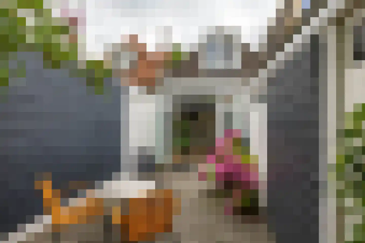 Verlengde Grachtstraat 45 Groningen thumbnail 22