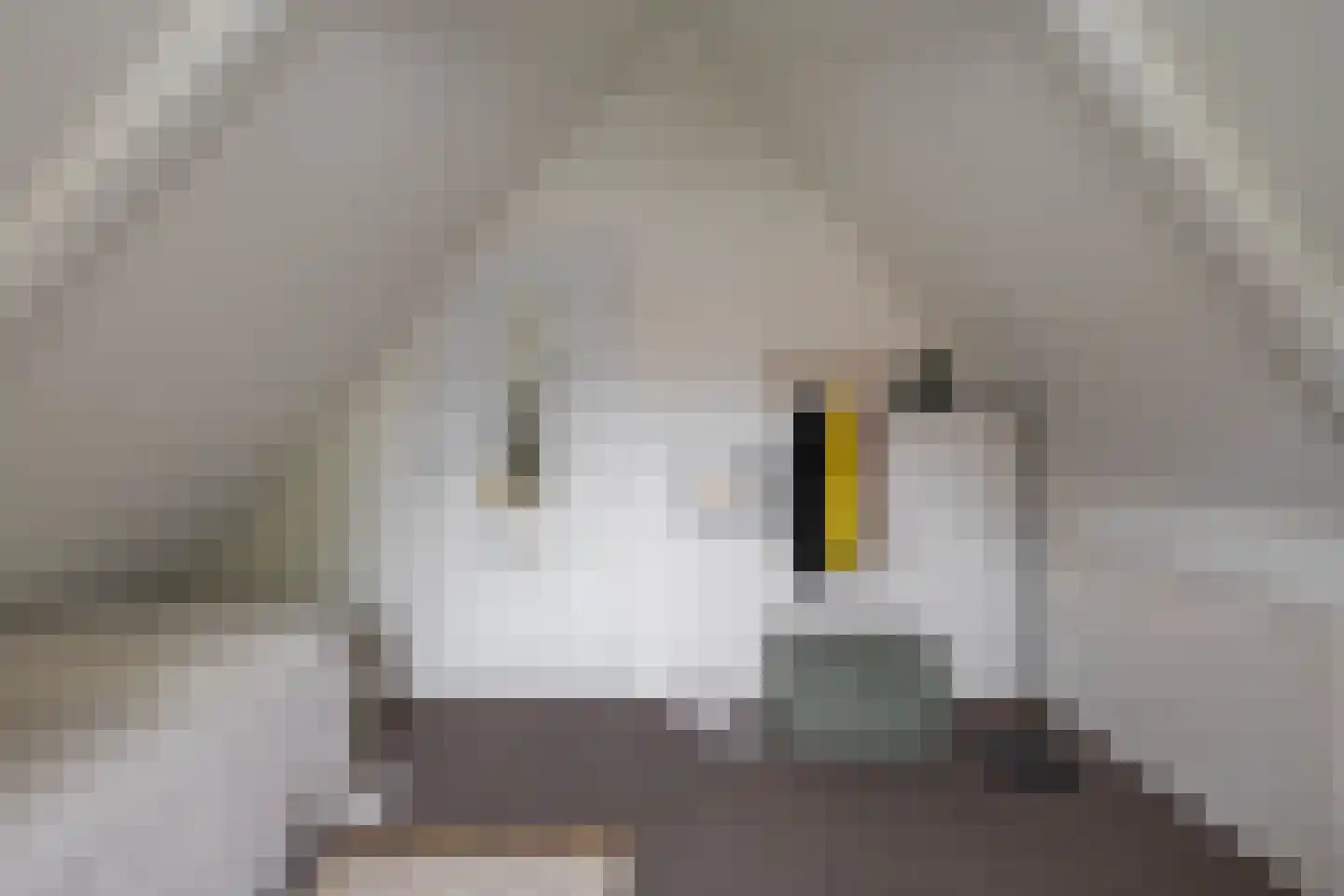 Verlengde Grachtstraat 45 Groningen thumbnail 34