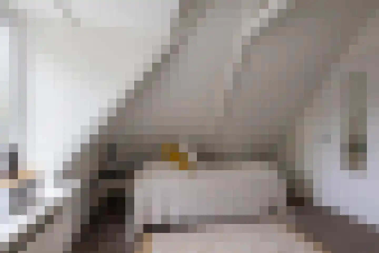 Verlengde Grachtstraat 45 Groningen thumbnail 35