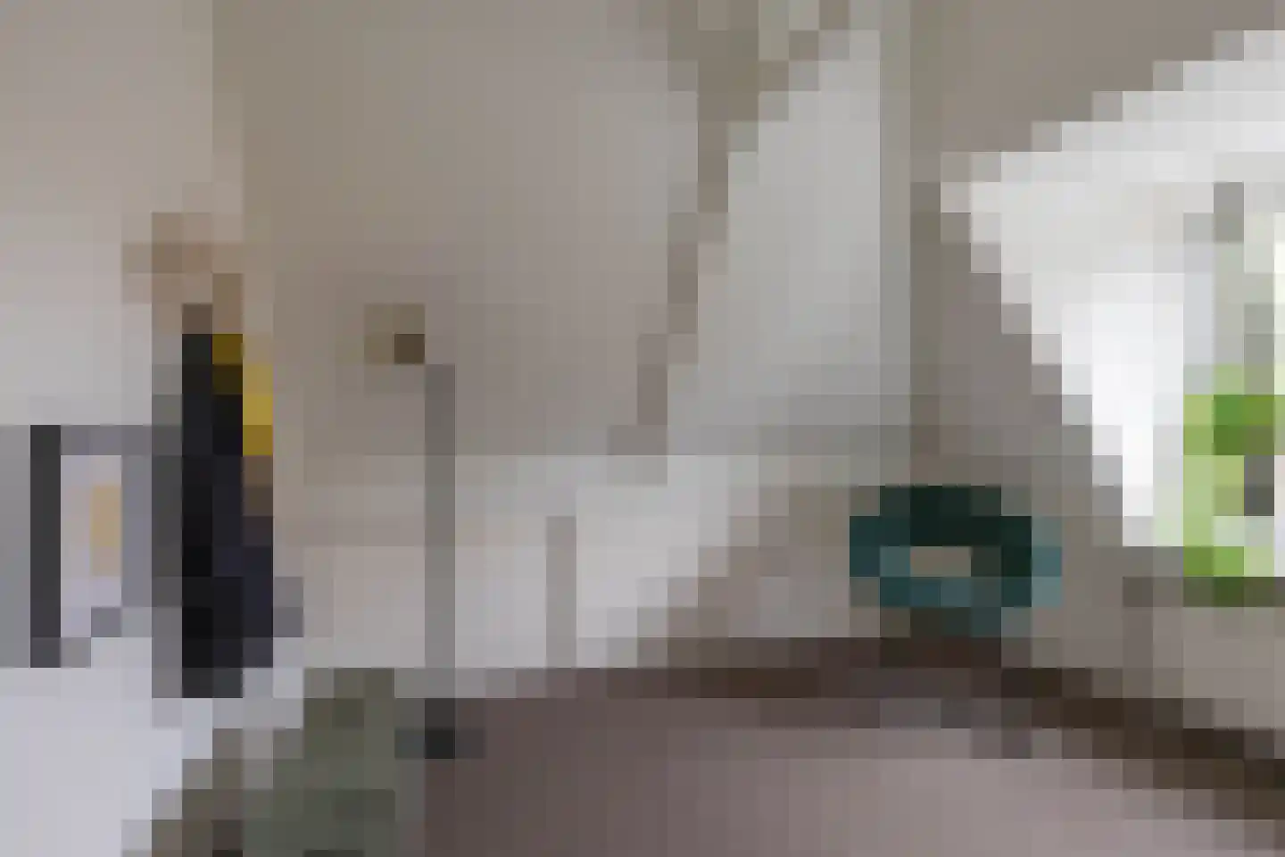 Verlengde Grachtstraat 45 Groningen thumbnail 36