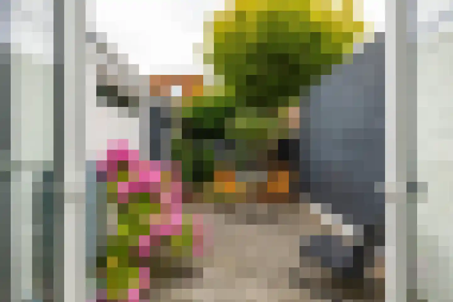 Verlengde Grachtstraat 45 Groningen thumbnail 4