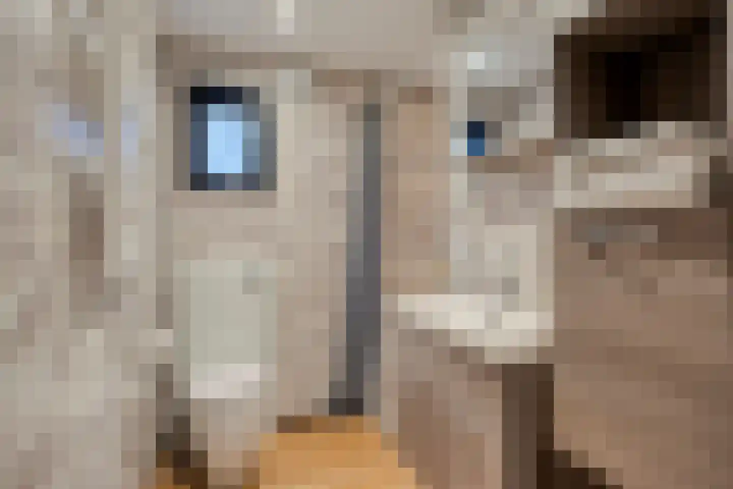 Verlengde Haerderweg 5 Doornspijk thumbnail 10