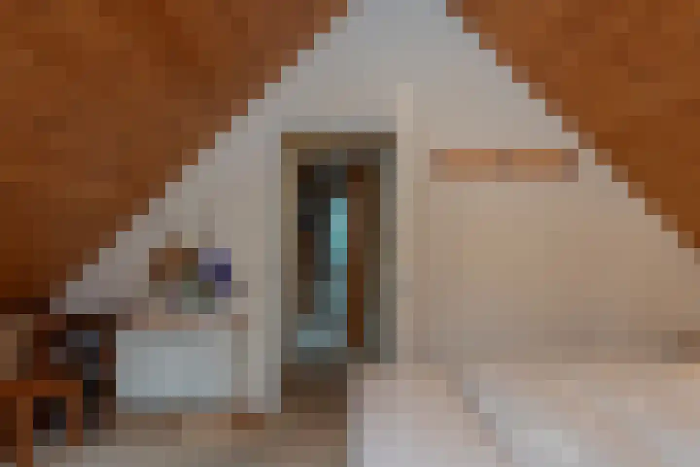Verlengde Haerderweg 5 R 13 Doornspijk thumbnail 21